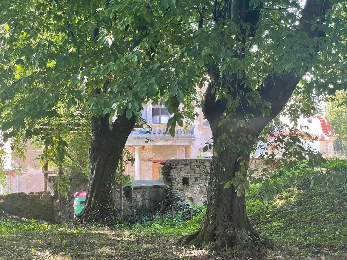 Chateau Moravany - Apartmany, Teepee A Wellness Ronow an der Doubrava Exterior foto