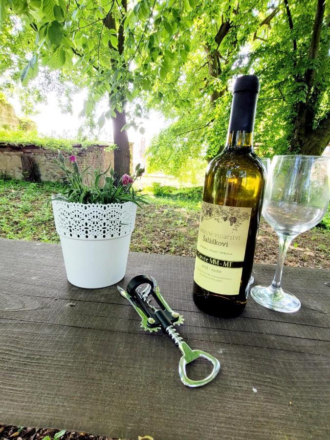Chateau Moravany - Apartmany, Teepee A Wellness Ronow an der Doubrava Exterior foto